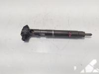 Injector Delphi, cod A6510704987, Mercedes Clasa E (W212) 2.2 CDI, OM651924 (id:721606)