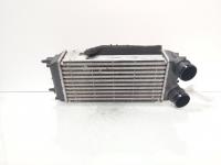Radiator intercooler, cod AV21-9L440-AB, Ford Fiesta 6 1.5 TDCI, UGJC (id:724183)
