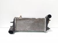 Radiator intercooler, Ford Focus 3 1.6 TDCI, T1DB (idi:729617)