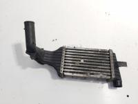 Radiator intercooler, cod GM09129519DX, Opel Signum, Y20DTH (idi:731404)