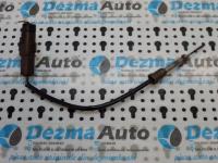 Sonda temperatura gaze Seat Leon (1M1) 1.9tdi ASZ