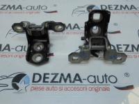 Set balamale stanga spate, Renault Laguna 3 combi