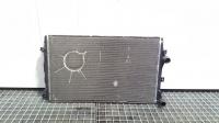 Radiator racire apa, Vw Golf 5 (1K1) 1.9 tdi, cod 1K0121253AA (id:368565)