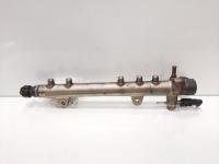 Rampa injectoare cu senzori, Fiat Panda (169) [Fabr 2003-2012] 1.3 M-Jet, 188A8000, 0445214044, 46817523 (id:433641)