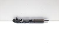 Injector, cod 166000897R, H8200827965, Renault Clio 3, 1.5 dci, K9K770 (id:441428)