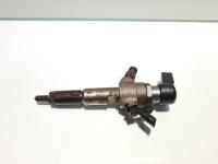 Injector, cod 9655304880, Ford Fusion (JU), 1.4 TDCI, F6JA