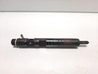 Injector, cod 8200365186, EJBR01801A, Renault Kangoo 1, 1.5 dci, K9K702 (id:458889)