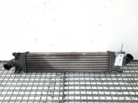 Radiator intercooler, Ford Focus C-Max, 1.6 tdci, G8DA (id:459565)