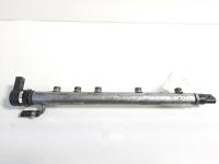 Rampa injectoare, cod A6400701295 ,Mercedes Clasa B (W245) 2.0 cdi, OM64094030 (id:390073)
