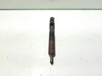 Injector, cod 2T1Q-9F593-AA, EJBR02201Z, Ford Focus 1 Sedan, 1.8 TDCI, FFDA (id:461668)