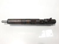 Injector Delphi, cod 8200815416, EJBR05102D, Dacia Sandero, 1.5 DCI, K9K792 (idi:453945)